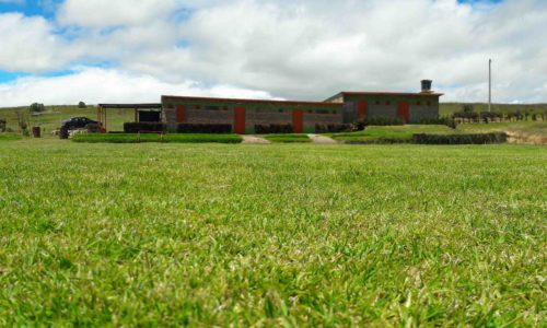 Sede3_Escuela_de_fútbol_Weymar_Olivares