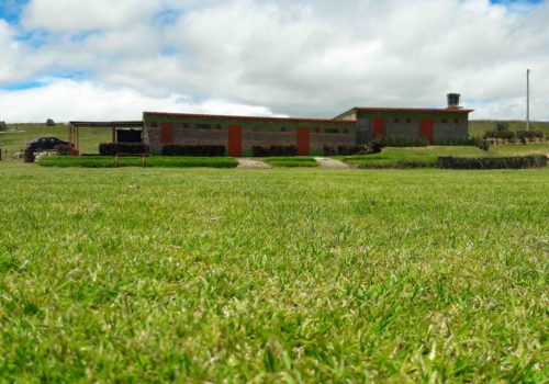 Sede3_Escuela_de_fútbol_Weymar_Olivares
