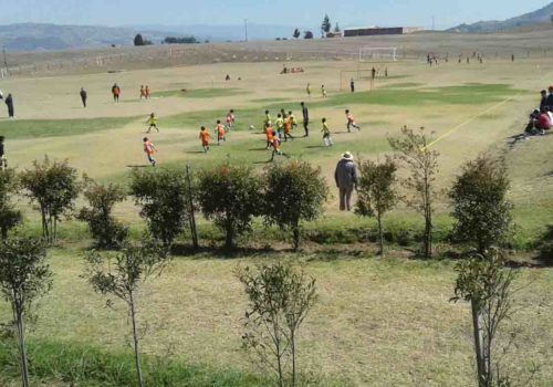 Sede5_Escuela_de_fútbol_Weymar_Olivares