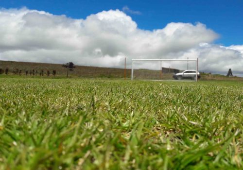 Sede8_Escuela_de_fútbol_Weymar_Olivares